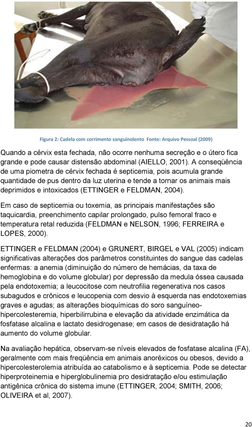 A conseqüência de uma piometra de cérvix fechada é septicemia, pois acumula grande quantidade de pus dentro da luz uterina e tende a tornar os animais mais deprimidos e intoxicados (ETTINGER e