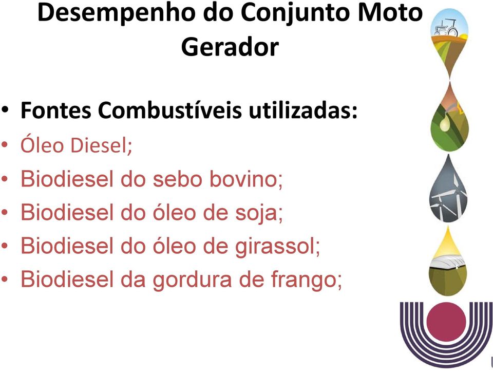 do sebo bovino; Biodiesel do óleo de soja;