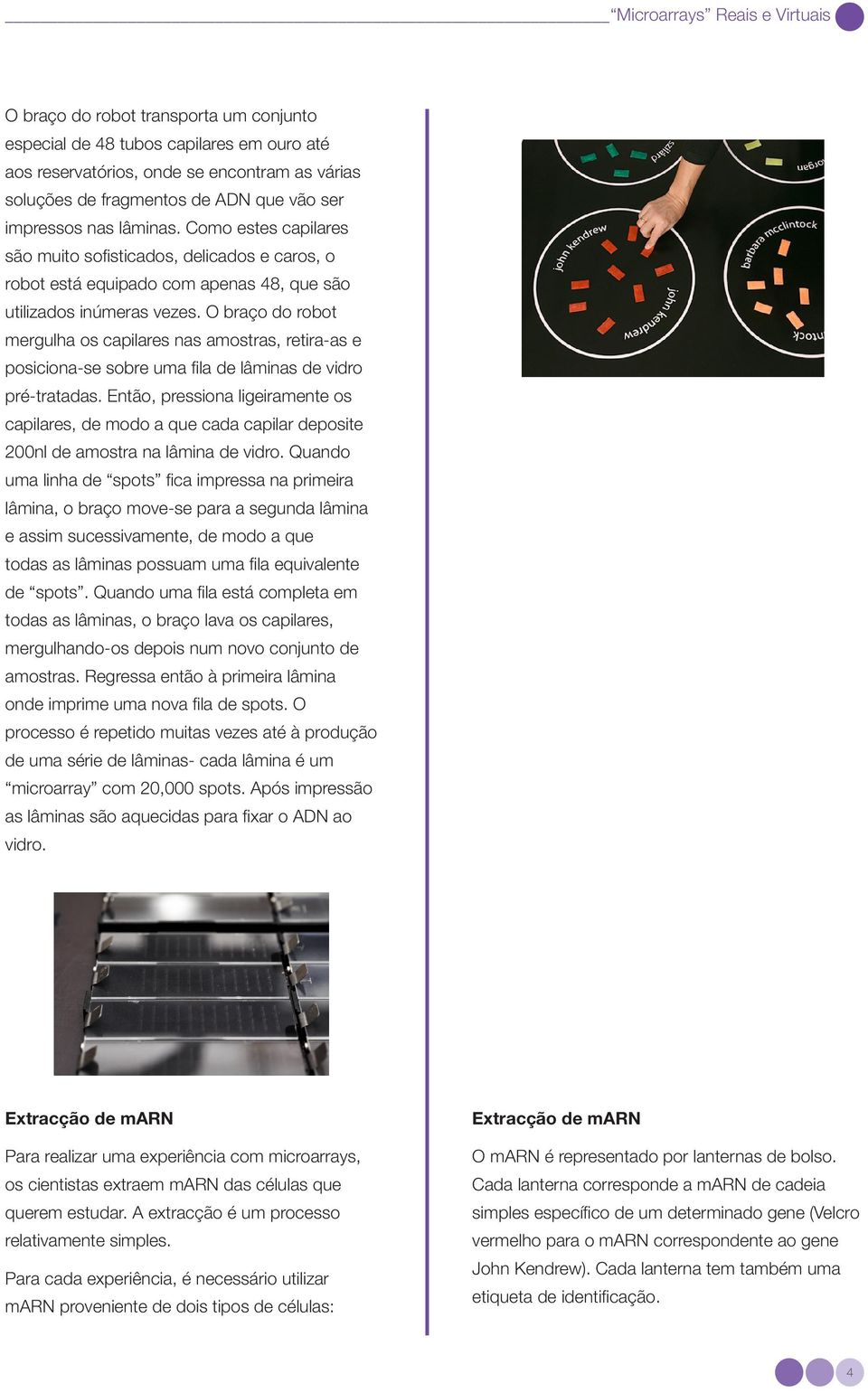 O braço do robot mergulha os capilares nas amostras, retira-as e posiciona-se sobre uma fila de lâminas de vidro pré-tratadas.