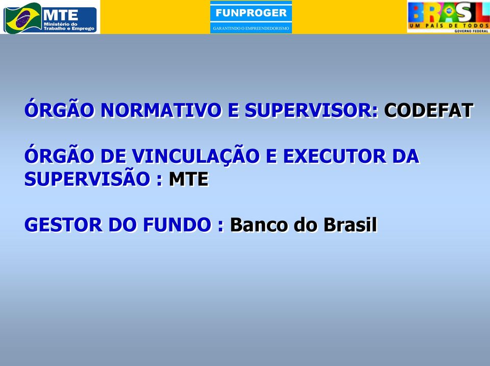 EXECUTOR DA SUPERVISÃO : MTE