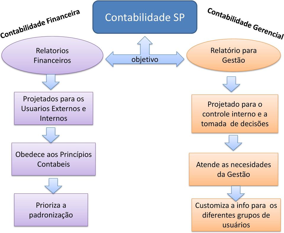 interno e a tomada de decisões Obedece aos Princípios Contabeis Atende as