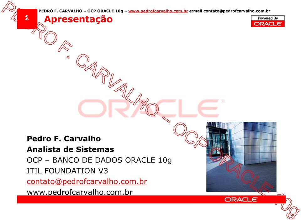 Carvalho Analista de Sistemas OCP BANCO DE DADOS ORACLE 10g