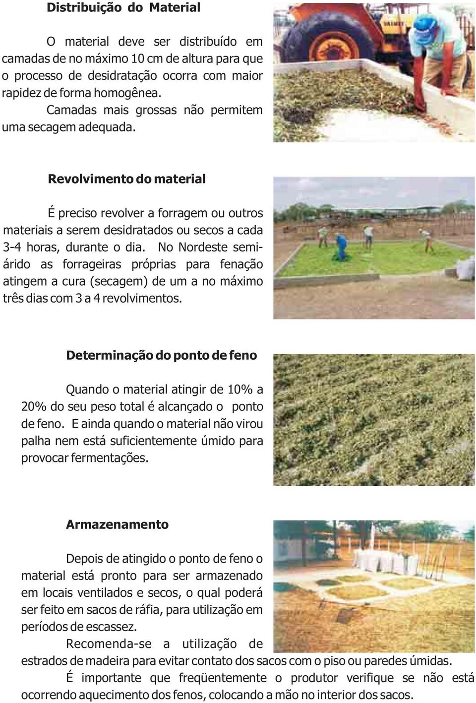 No Nordeste semiárido as forrageiras próprias para fenação atingem a cura (secagem) de um a no máximo três dias com 3 a 4 revolvimentos.