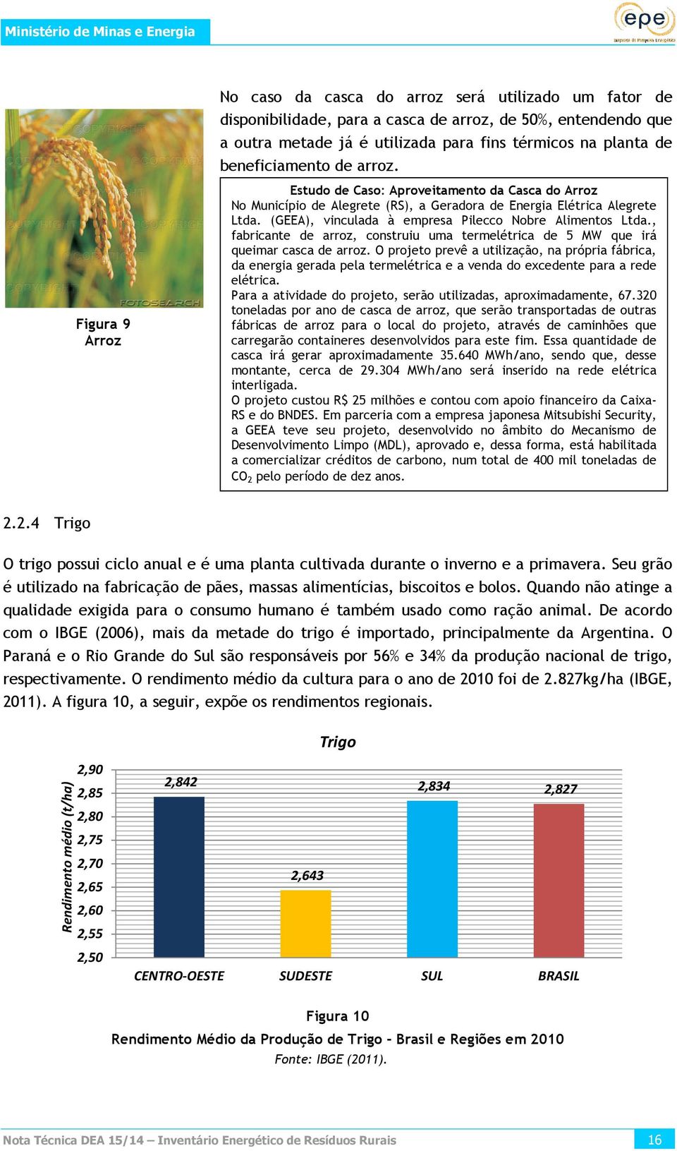 (GEEA), vinculada à empresa Pilecco Nobre Alimentos Ltda., fabricante de arroz, construiu uma termelétrica de 5 MW que irá queimar casca de arroz.