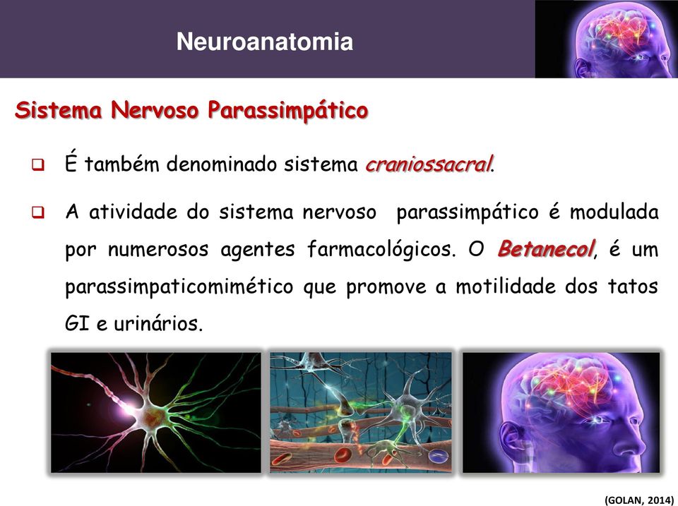 A atividade do sistema nervoso parassimpático é modulada por