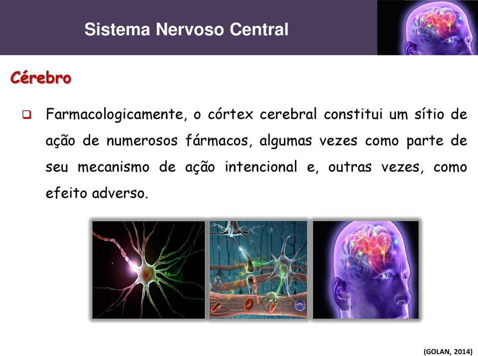 numerosos fármacos, algumas vezes como parte de seu