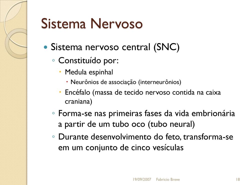 Forma-se nas primeiras fases da vida embrionária a partir de um tubo oco (tubo neural) Durante