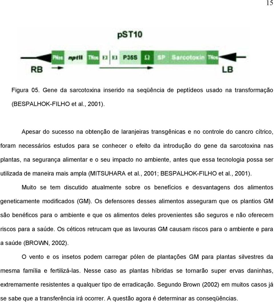 segurança alimentar e o seu impacto no ambiente, antes que essa tecnologia possa ser utilizada de maneira mais ampla (MITSUHARA et al., 2001; BESPALHOK-FILHO et al., 2001).