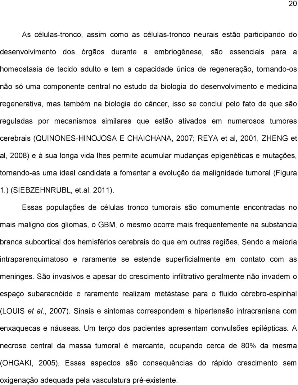 fato de que são reguladas por mecanismos similares que estão ativados em numerosos tumores cerebrais (QUINONES-HINOJOSA E CHAICHANA, 2007; REYA et al, 2001, ZHENG et al, 2008) e à sua longa vida lhes