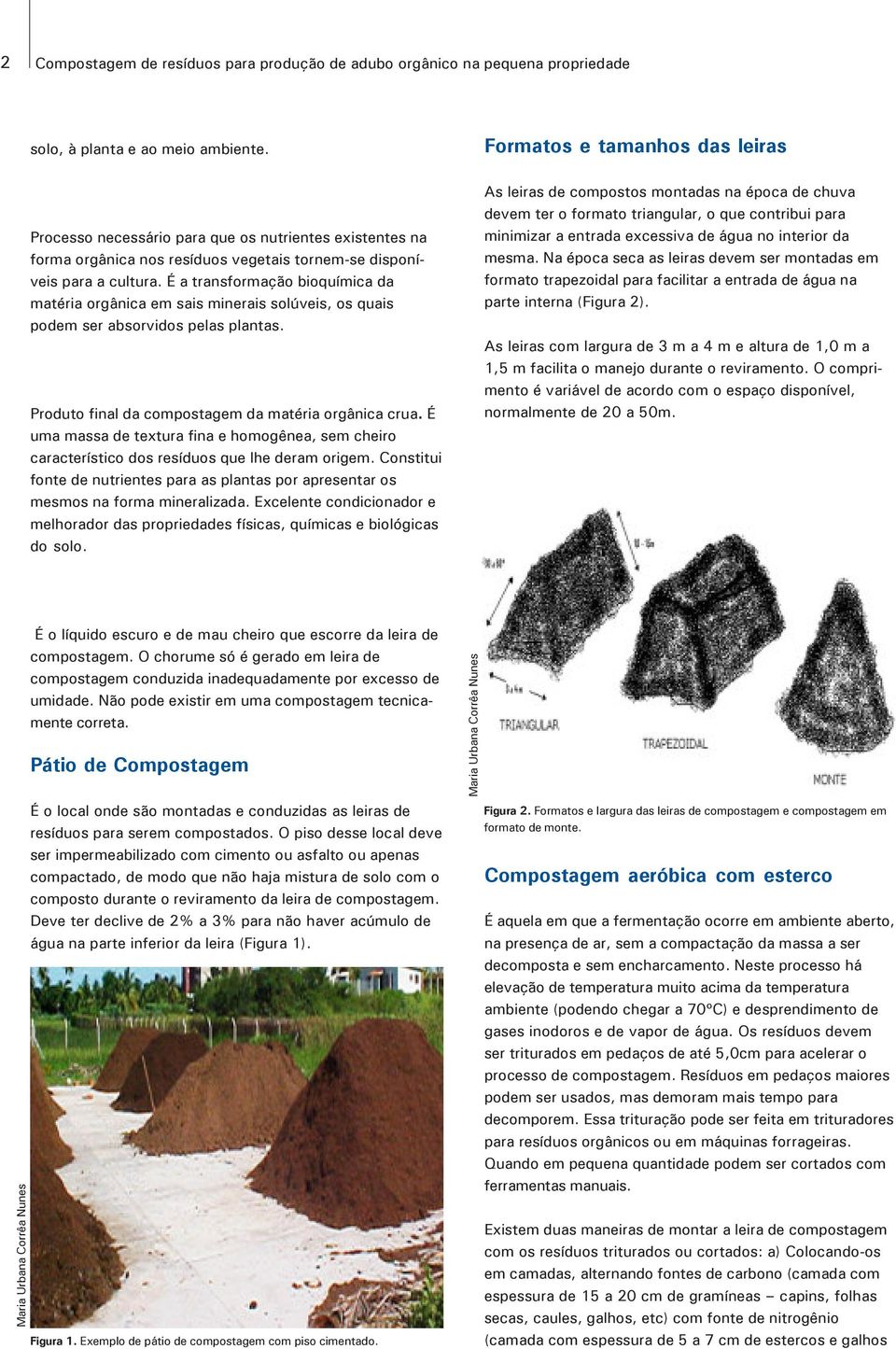 É a transformação bioquímica da matéria orgânica em sais minerais solúveis, os quais podem ser absorvidos pelas plantas. Produto final da compostagem da matéria orgânica crua.