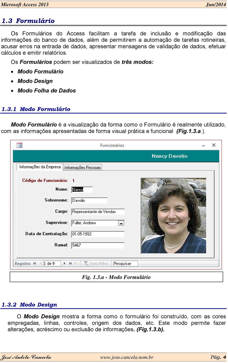 1 Modo Formulário Modo Formulário é a visualização da forma como o Formulário é realmente utilizado, com as informações apresentadas de forma visual prática e funcional (Fig.1.3.a.). Fig. 1.3.a - Modo Formulário 1.