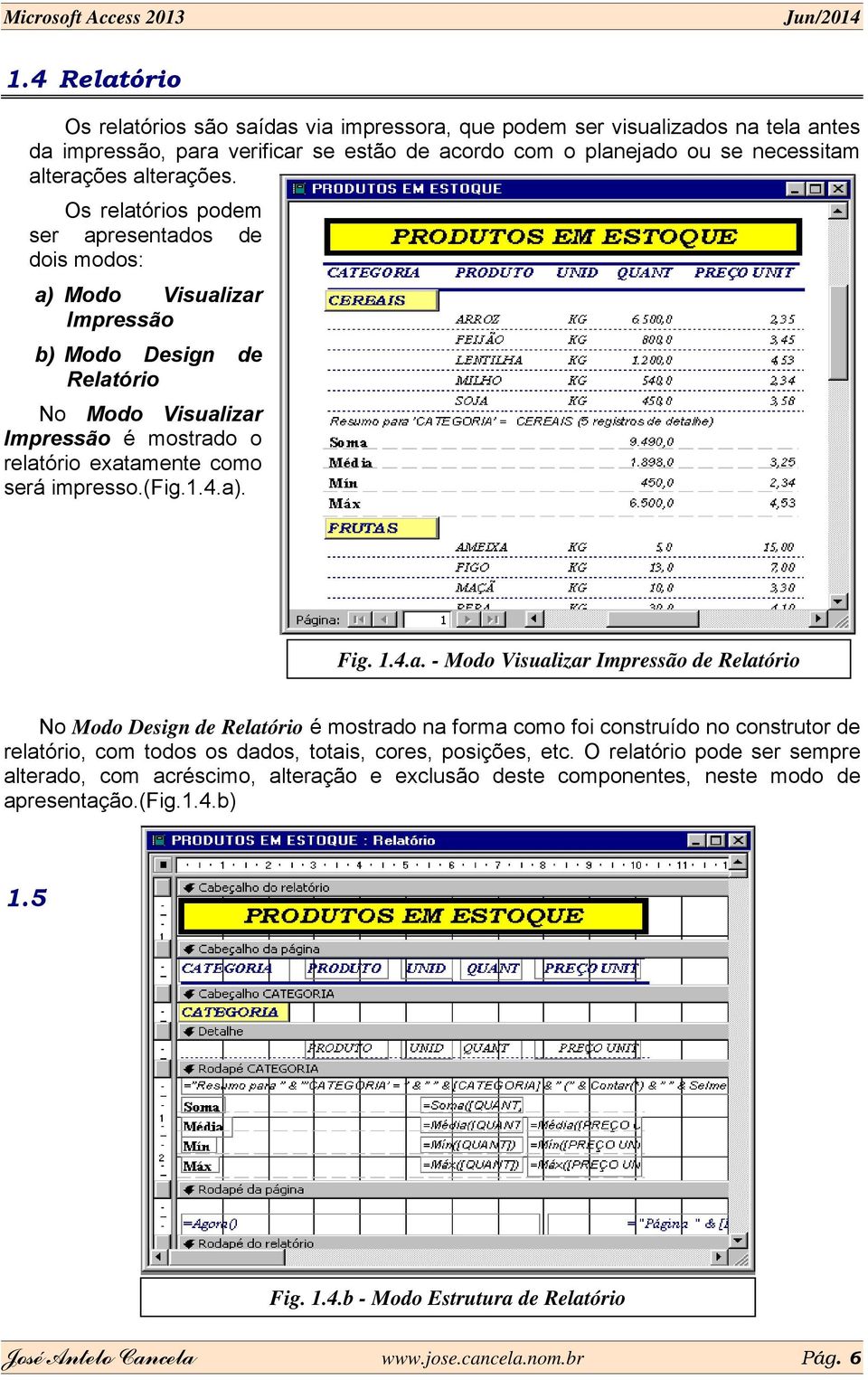 a). Fig. 1.4.a. - Modo Visualizar Impressão de Relatório No Modo Design de Relatório é mostrado na forma como foi construído no construtor de relatório, com todos os dados, totais, cores, posições, etc.