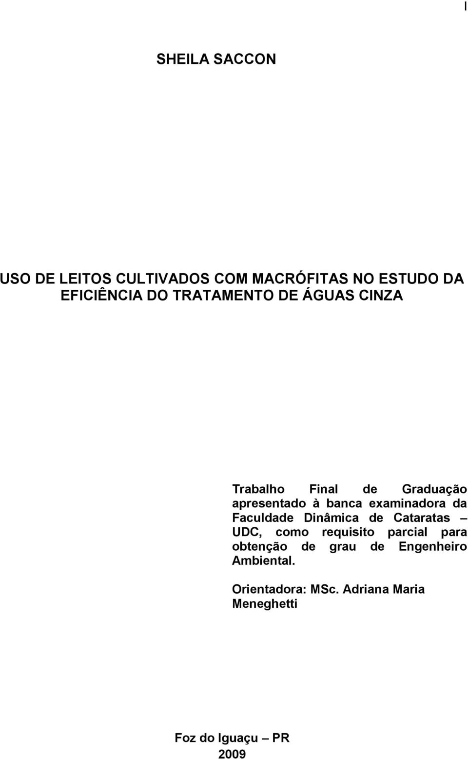 da Faculdade Dinâmica de Cataratas UDC, como requisito parcial para obtenção de grau