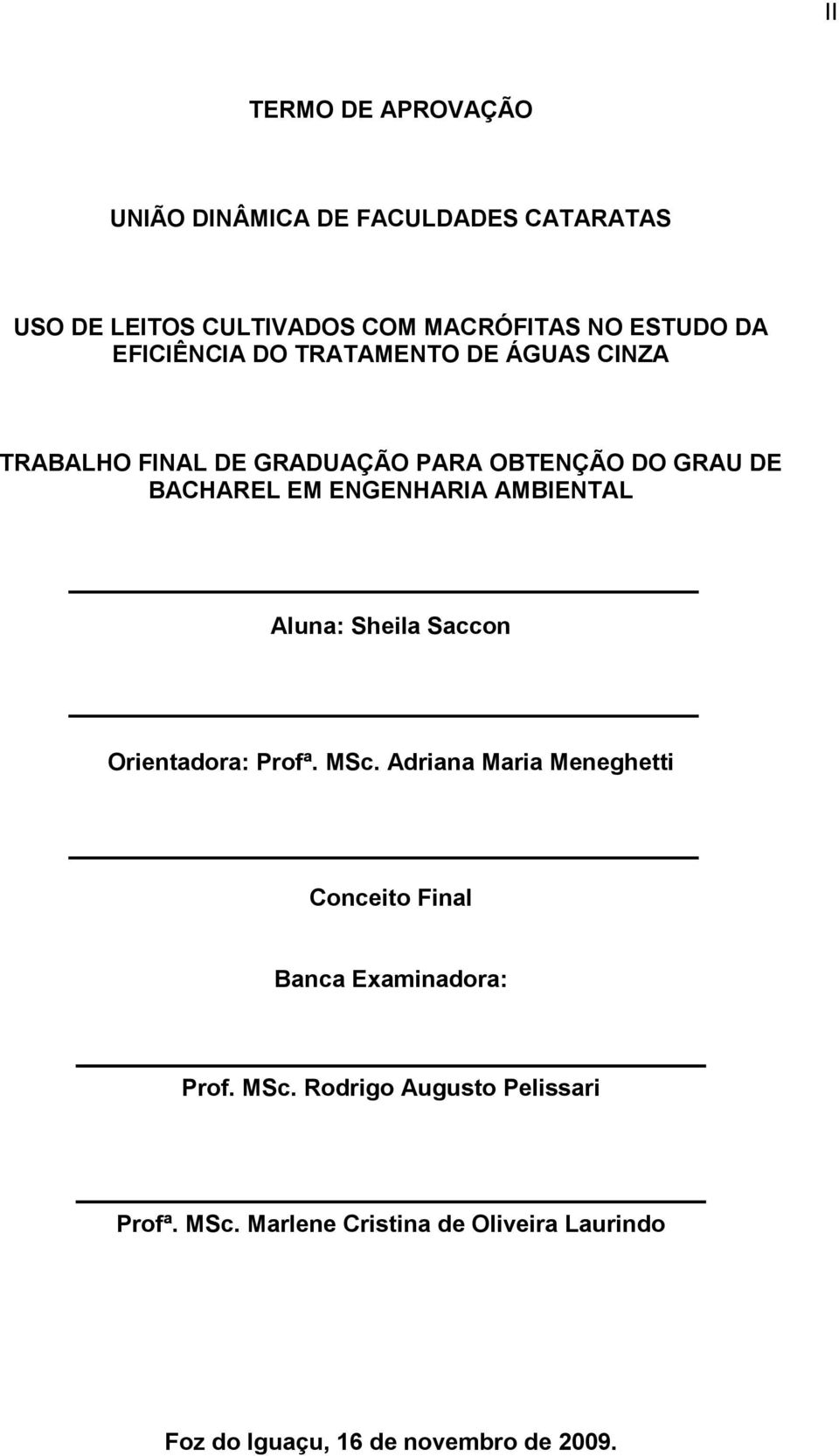 AMBIENTAL Aluna: Sheila Saccon Orientadora: Profª. MSc.