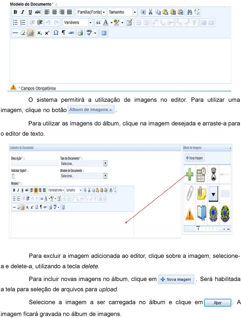 imagem, selecionea e delete-a, utilizando a tecla delete Para incluir novas imagens no álbum, clique em Será habilitada a tela