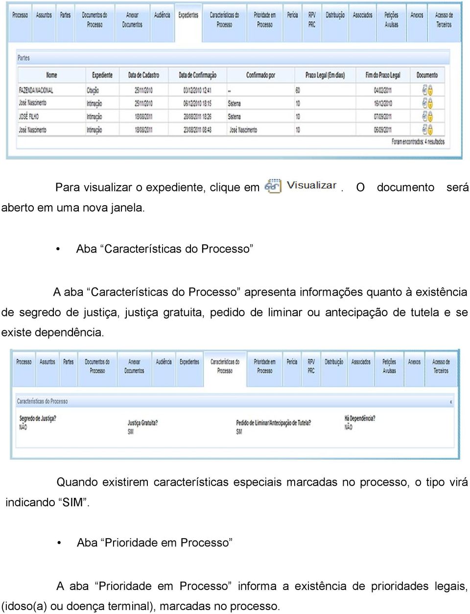 antecipação de tutela e se existe dependência Quando existirem características especiais marcadas no processo, o tipo virá indicando