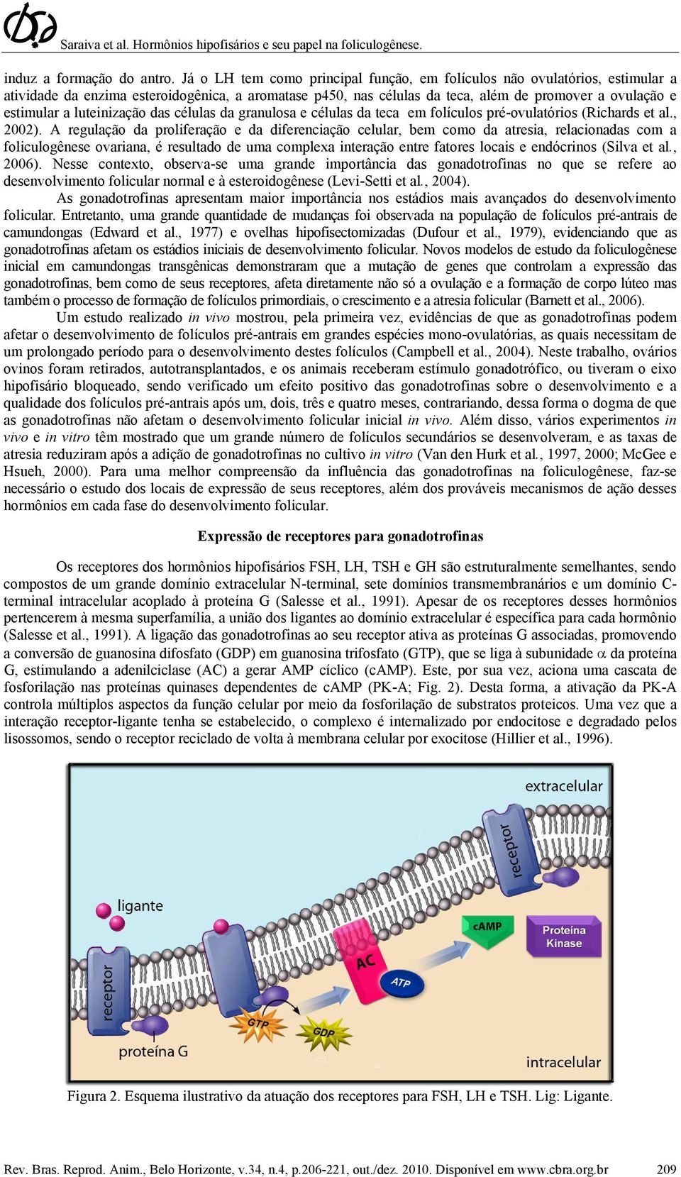 luteinização das células da granulosa e células da teca em folículos pré-ovulatórios (Richards et al., 2002).