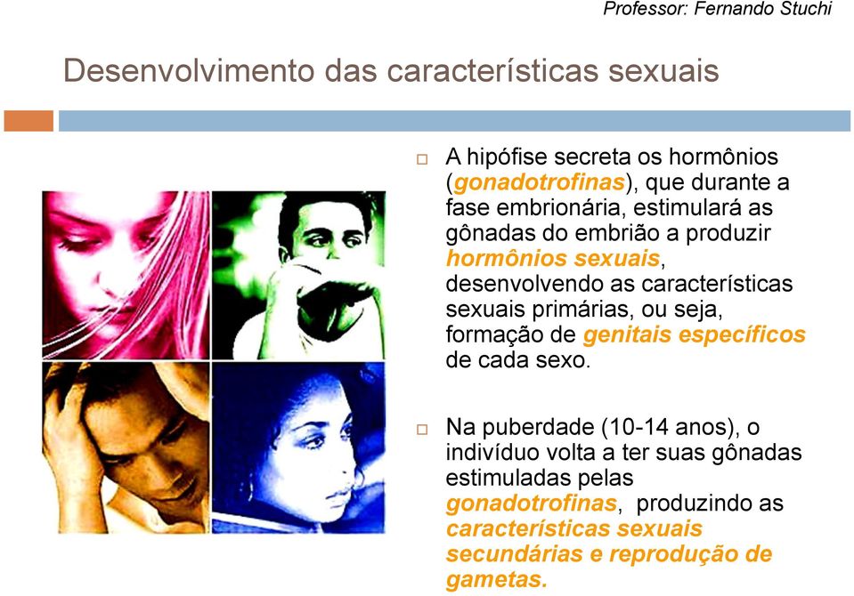 primárias, ou seja, formação de genitais específicos de cada sexo.