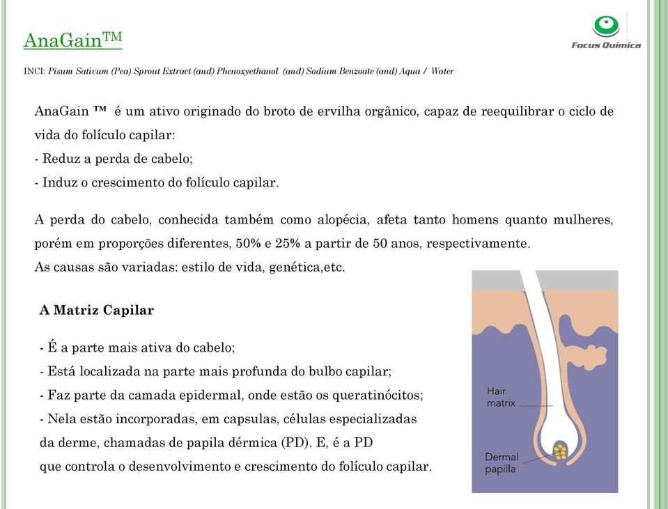 A perda do cabelo, conhecida também como alopécia, afeta tanto homens quanto mulheres, porém em proporções diferentes, 50% e 25% a partir de 50 anos, respectivamente.