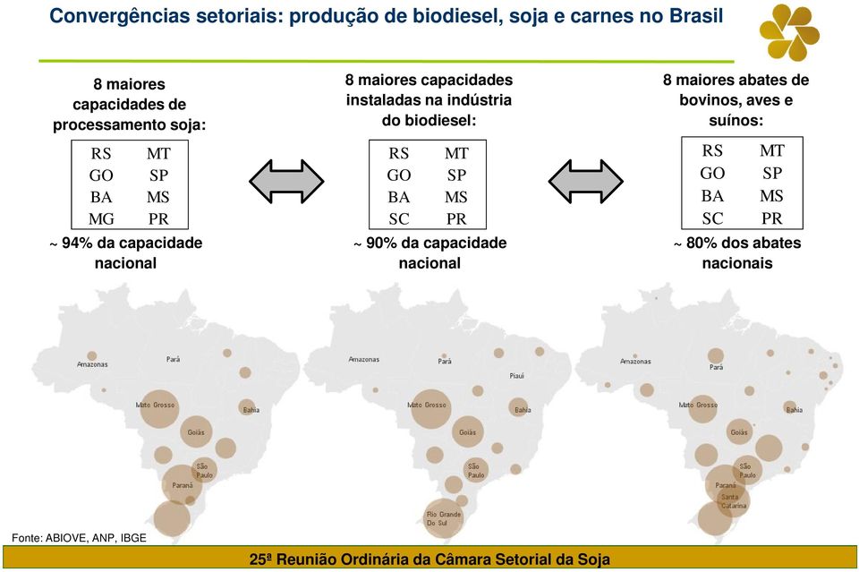 instaladas na indústria do biodiesel: RS GO BA SC MT SP MS PR ~ 90% da capacidade nacional 8