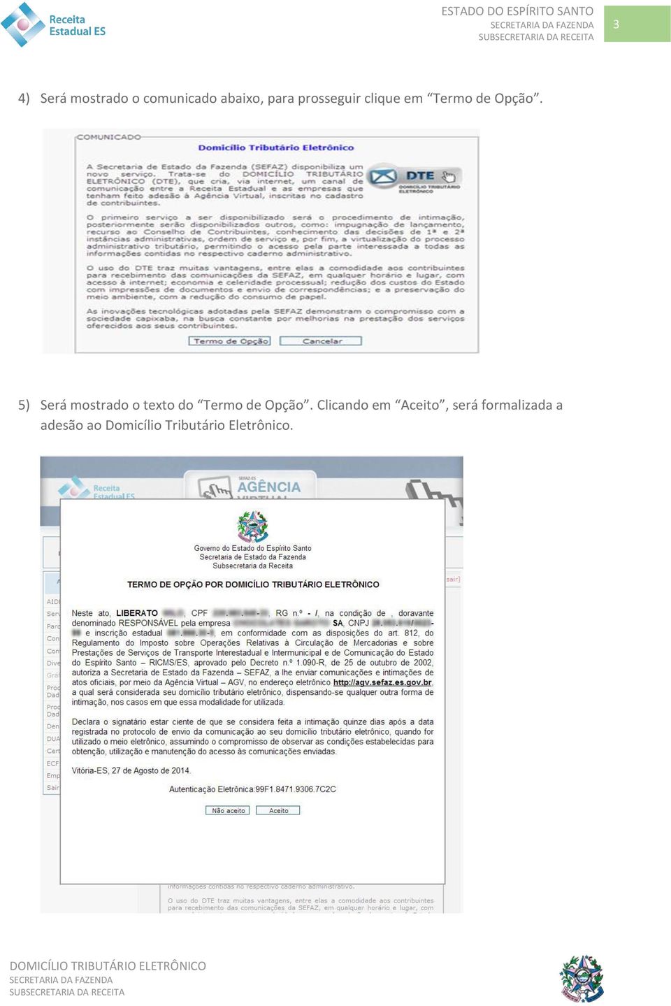 5) Será mostrado o texto do Termo de Opção.