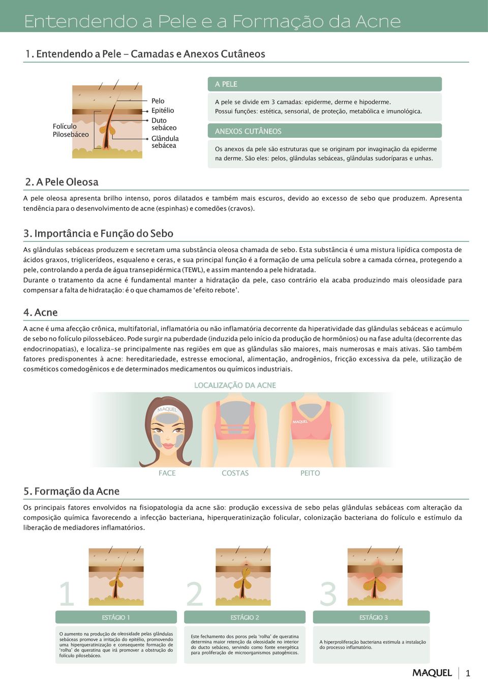 2. A Pl Oloa A pl oloa aprnta brilho intno, poro dilatado também mai curo, dvido ao xco d bo qu produzm. Aprnta tndência para o dnvolvimnto d acn (pinha) mdõ (cravo). 3.