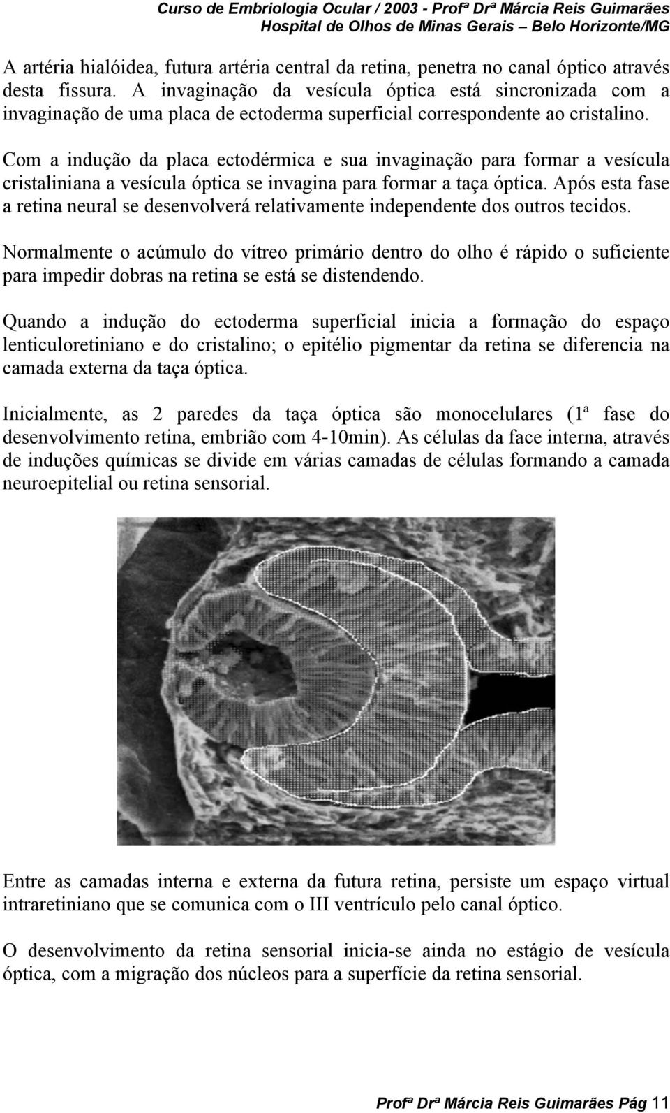 Com a indução da placa ectodérmica e sua invaginação para formar a vesícula cristaliniana a vesícula óptica se invagina para formar a taça óptica.