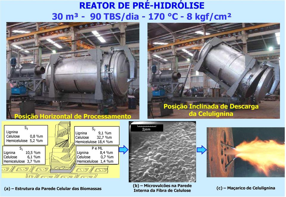 3,7 %m S 2 Lignina 9,1 %m Celulose 32,7 %m Hemicelulose 18,4 %m P e ML Lignina 8,4 %m Celulose 0,7 %m Hemicelulose 1,4 %m