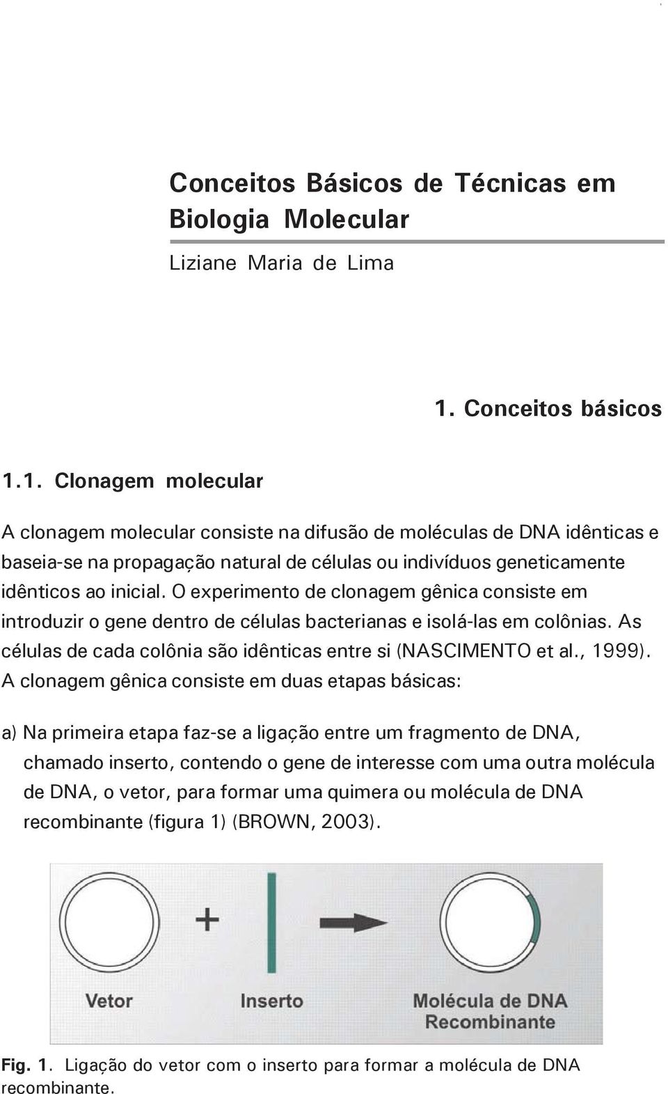 Conceitos básicos 1.