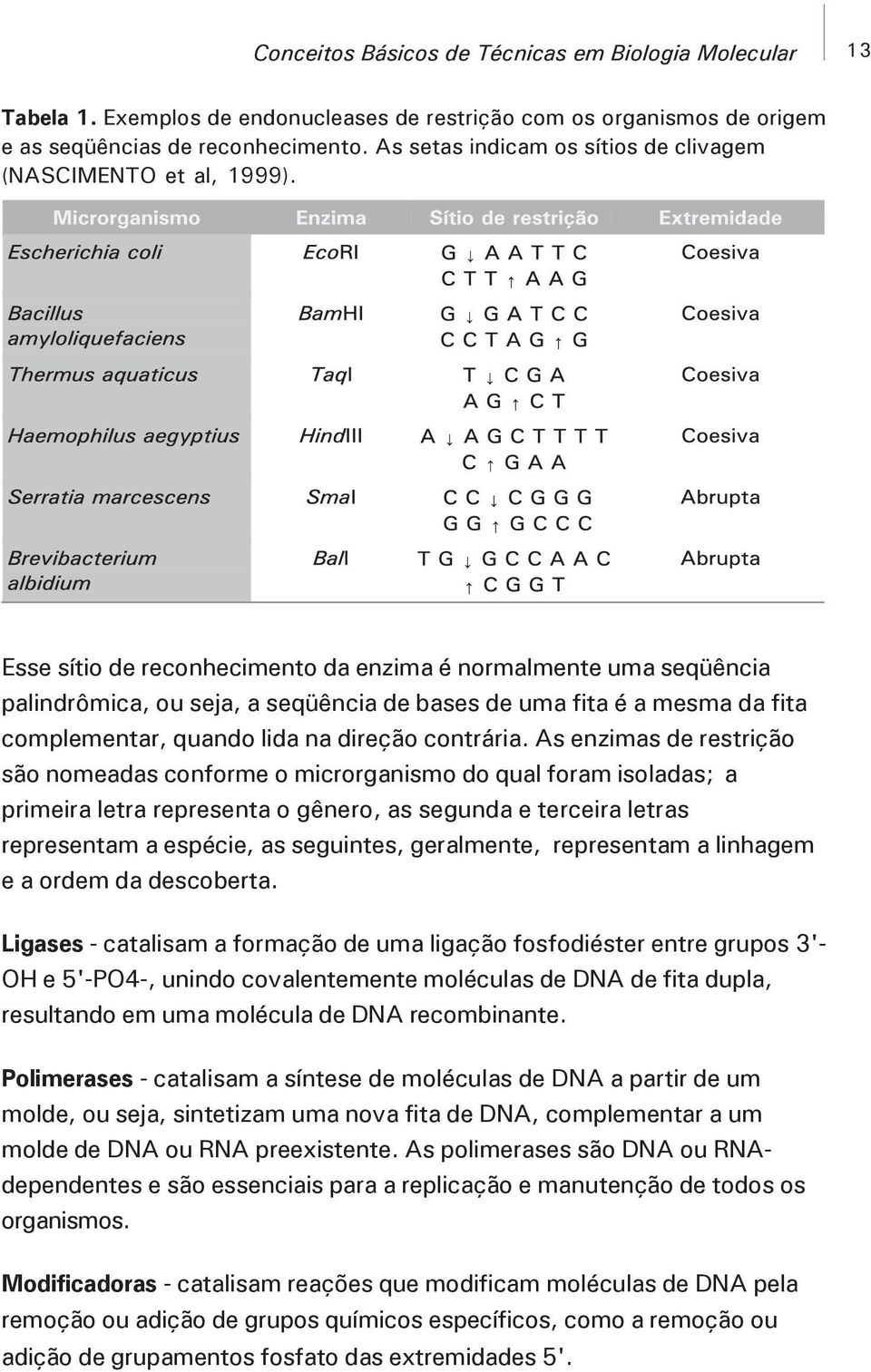 Esse sítio de reconhecimento da enzima é normalmente uma seqüência palindrômica, ou seja, a seqüência de bases de uma fita é a mesma da fita complementar, quando lida na direção contrária.