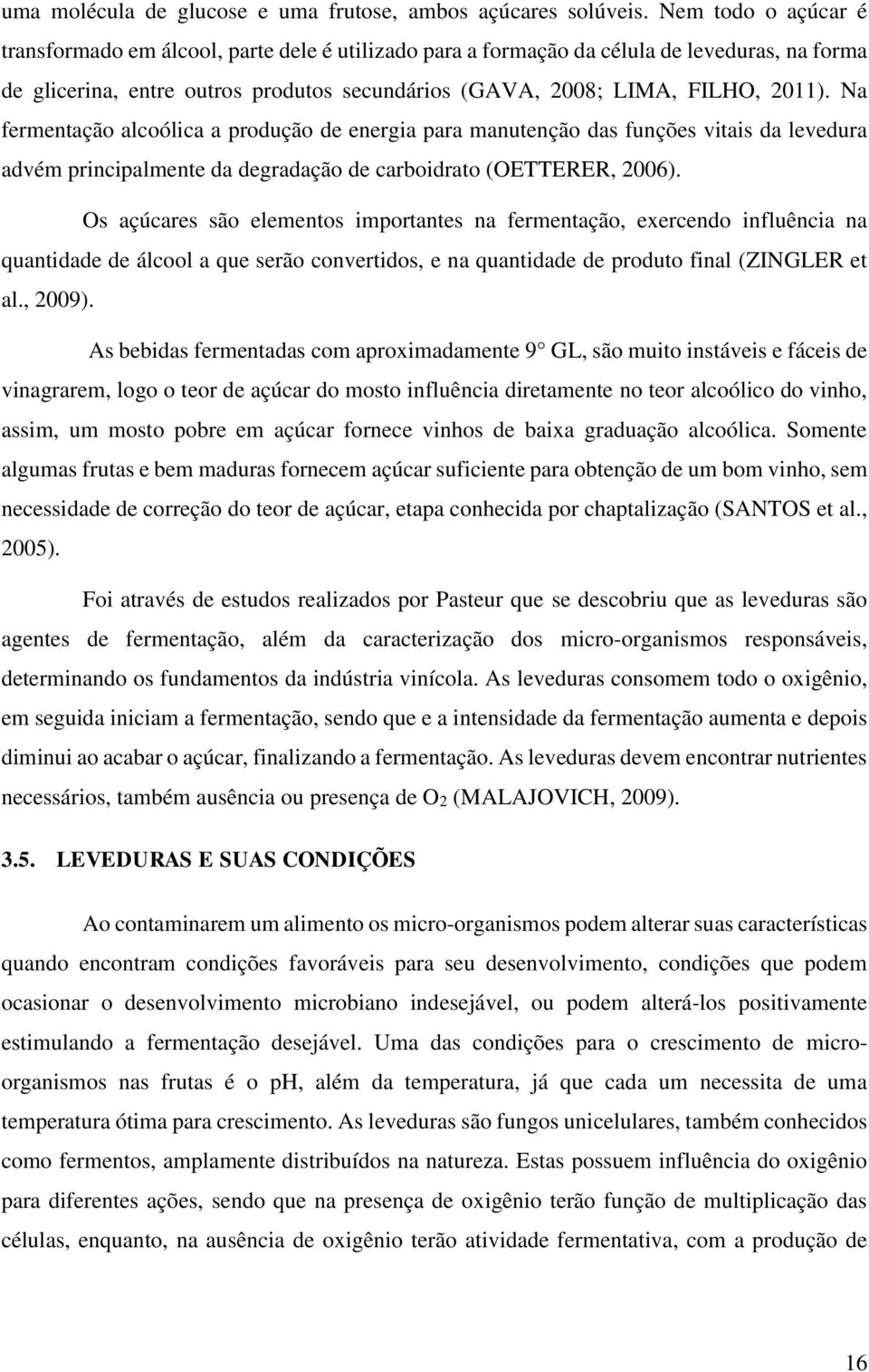 Na fermentação alcoólica a produção de energia para manutenção das funções vitais da levedura advém principalmente da degradação de carboidrato (OETTERER, 2006).