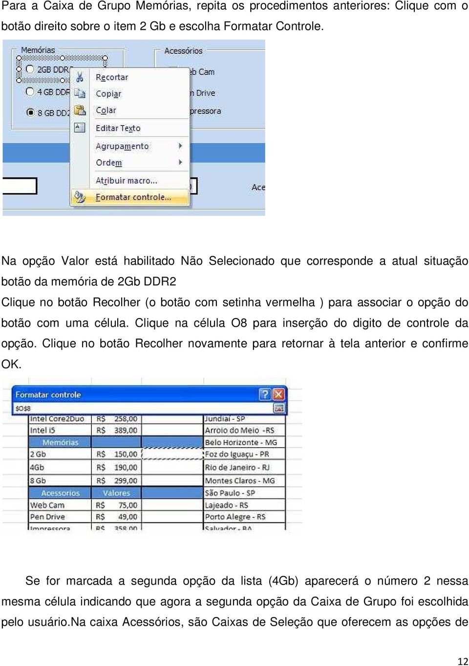 opção do botão com uma célula. Clique na célula O8 para inserção do digito de controle da opção. Clique no botão Recolher novamente para retornar à tela anterior e confirme OK.