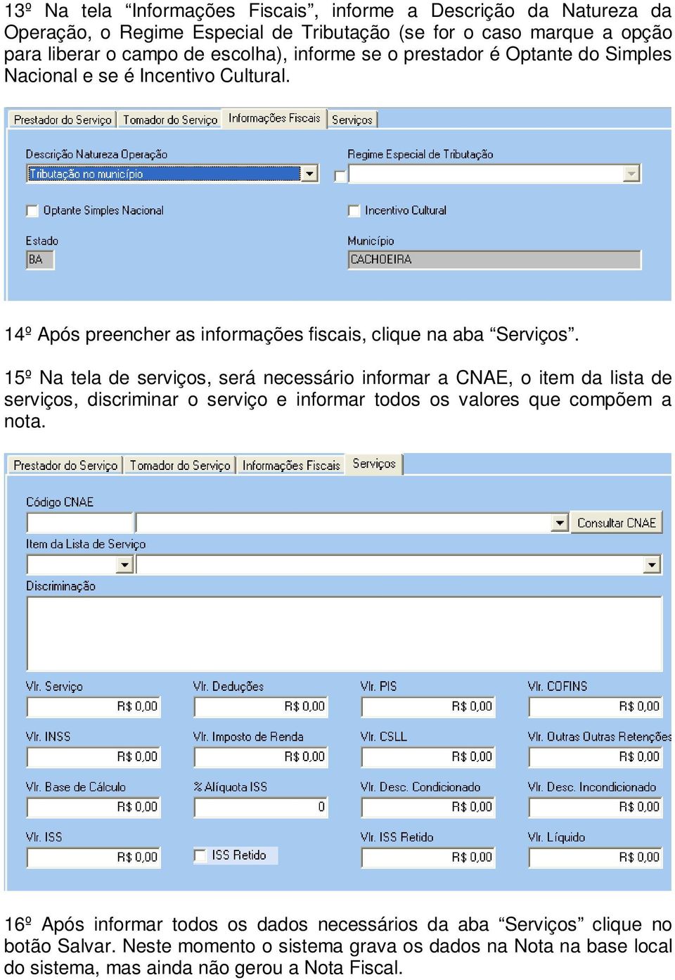 15º Na tela de serviços, será necessário informar a CNAE, o item da lista de serviços, discriminar o serviço e informar todos os valores que compõem a nota.