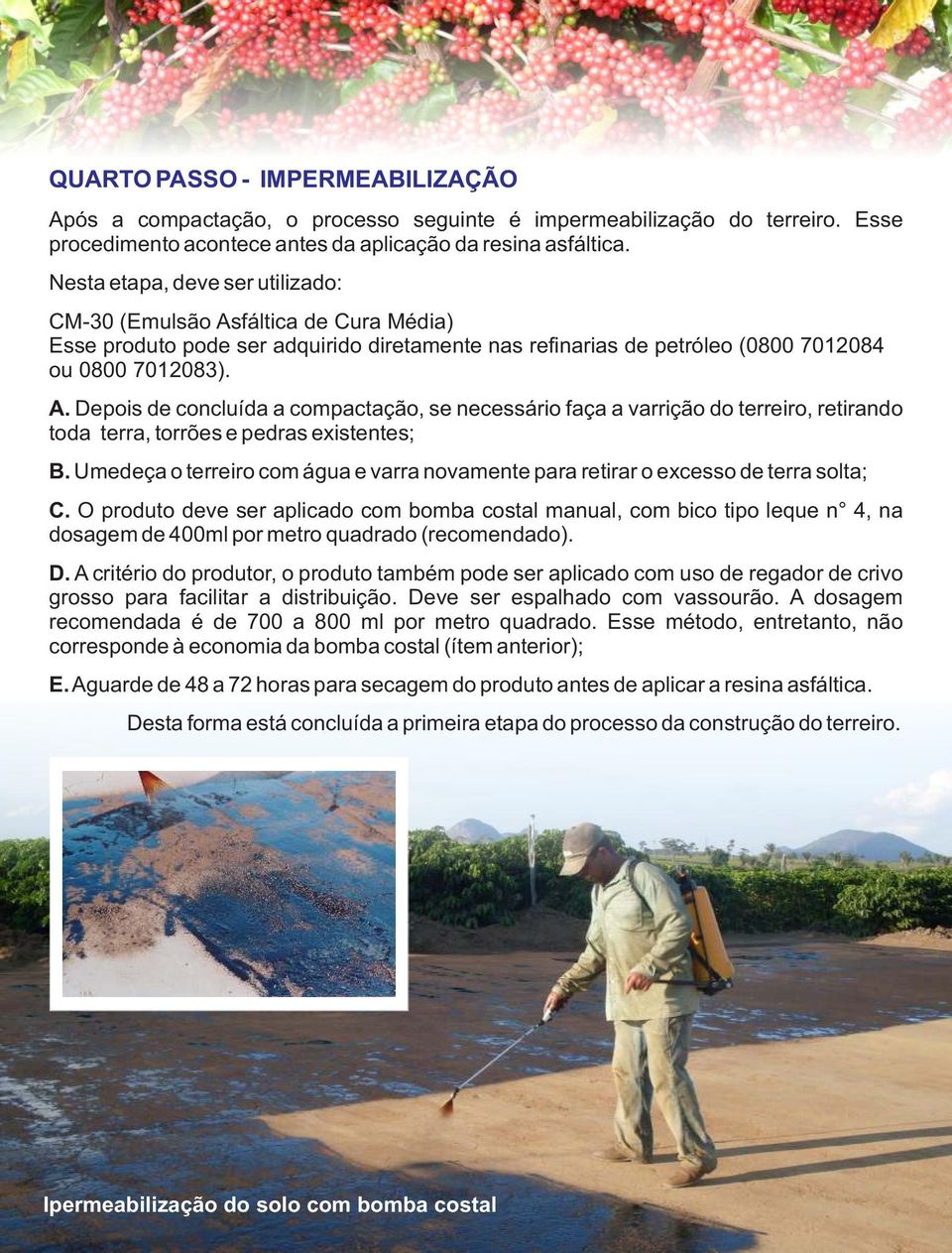 Umedeça o terreiro com água e varra novamente para retirar o excesso de terra solta; C.