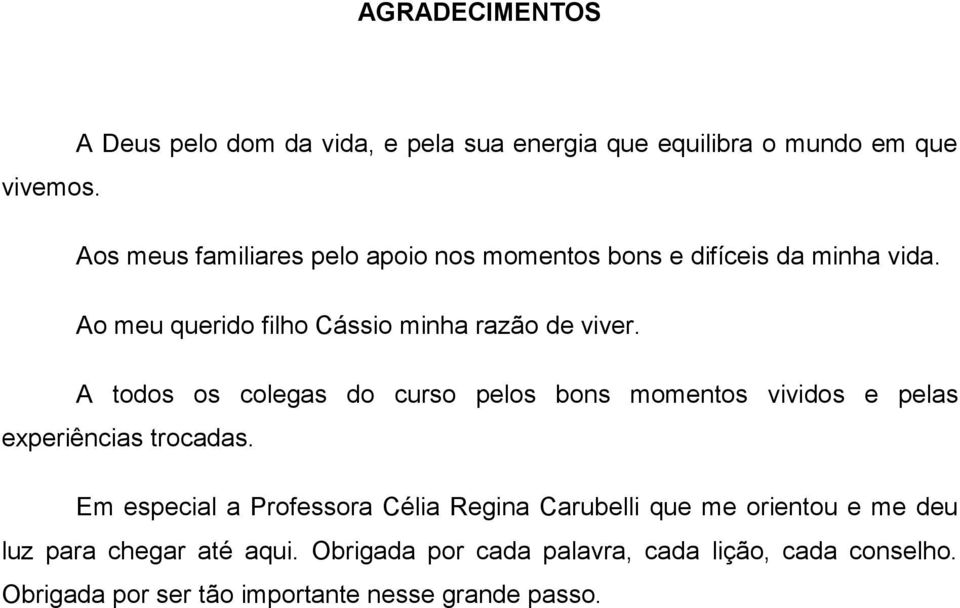 A todos os colegas do curso pelos bons momentos vividos e pelas experiências trocadas.