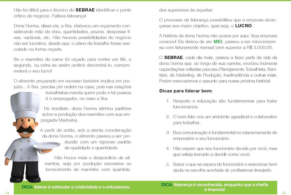 Não haveria possibilidades do negócio não ser lucrativo, desde que, o plano de trabalho fosse executado na forma orçada.