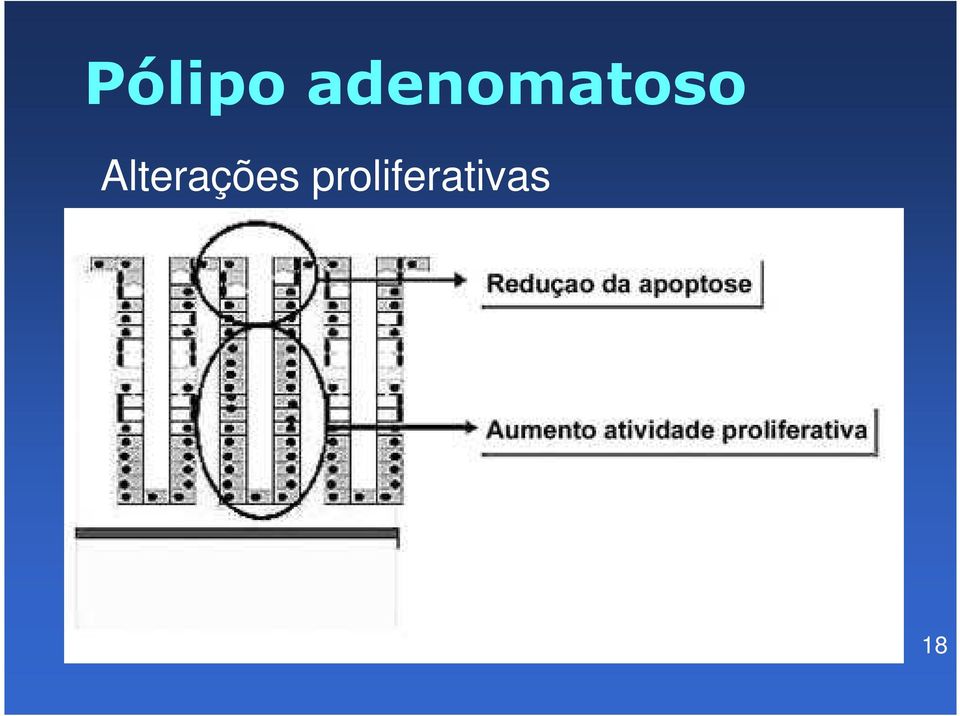 Alterações