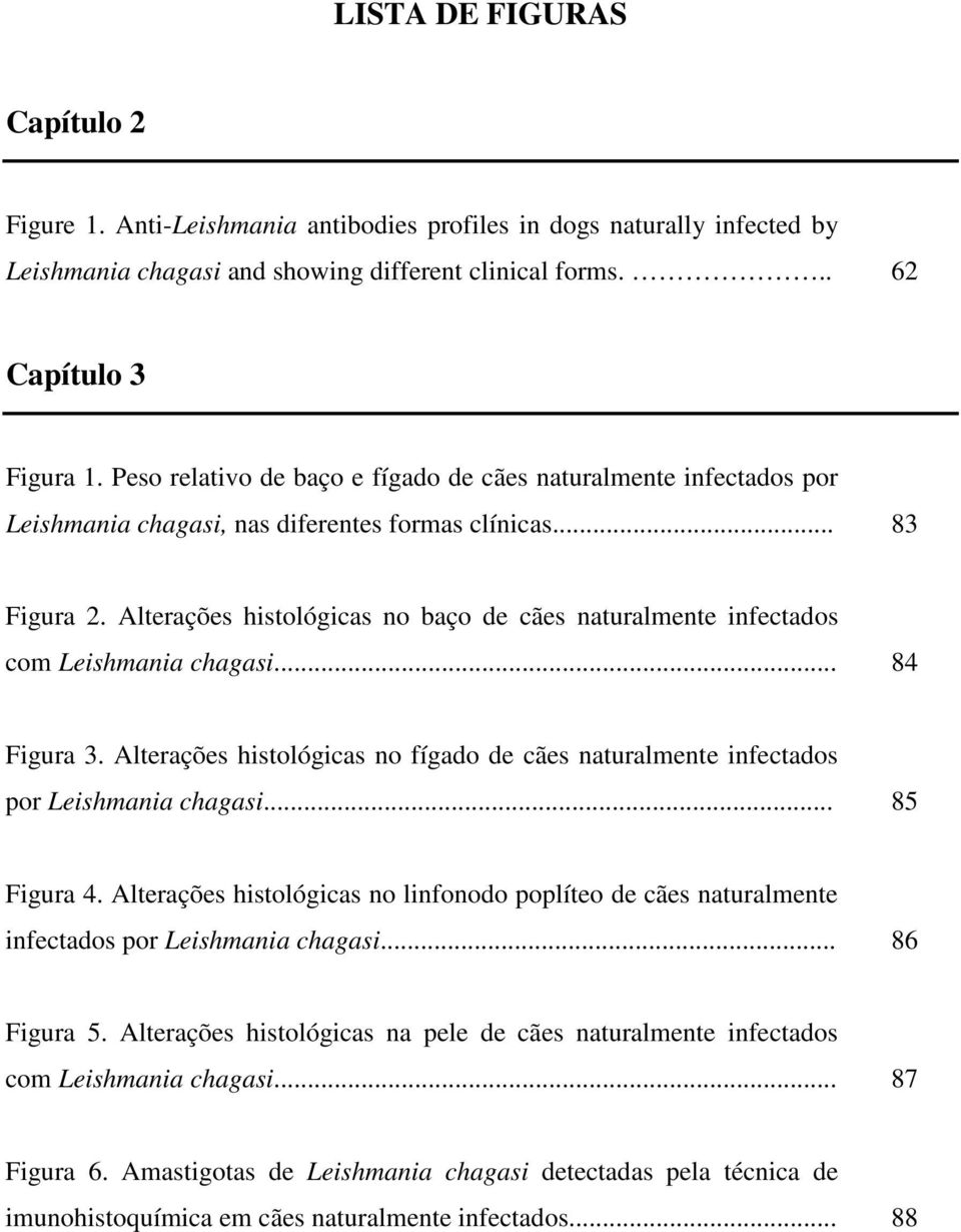 Alterações histológicas no baço de cães naturalmente infectados com Leishmania chagasi... 84 Figura 3. Alterações histológicas no fígado de cães naturalmente infectados por Leishmania chagasi.