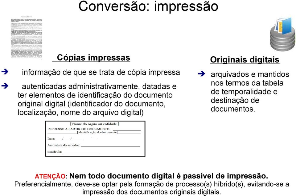 Originais digitais arquivados e mantidos nos termos da tabela de temporalidade e destinação de documentos.