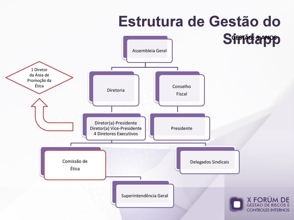 Diretor(a)-Presidente Diretor(a) Vice-Presidente 4 Diretores