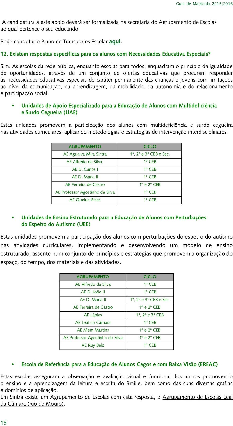 As escolas da rede pública, enquanto escolas para todos, enquadram o princípio da igualdade de oportunidades, através de um conjunto de ofertas educativas que procuram responder às necessidades