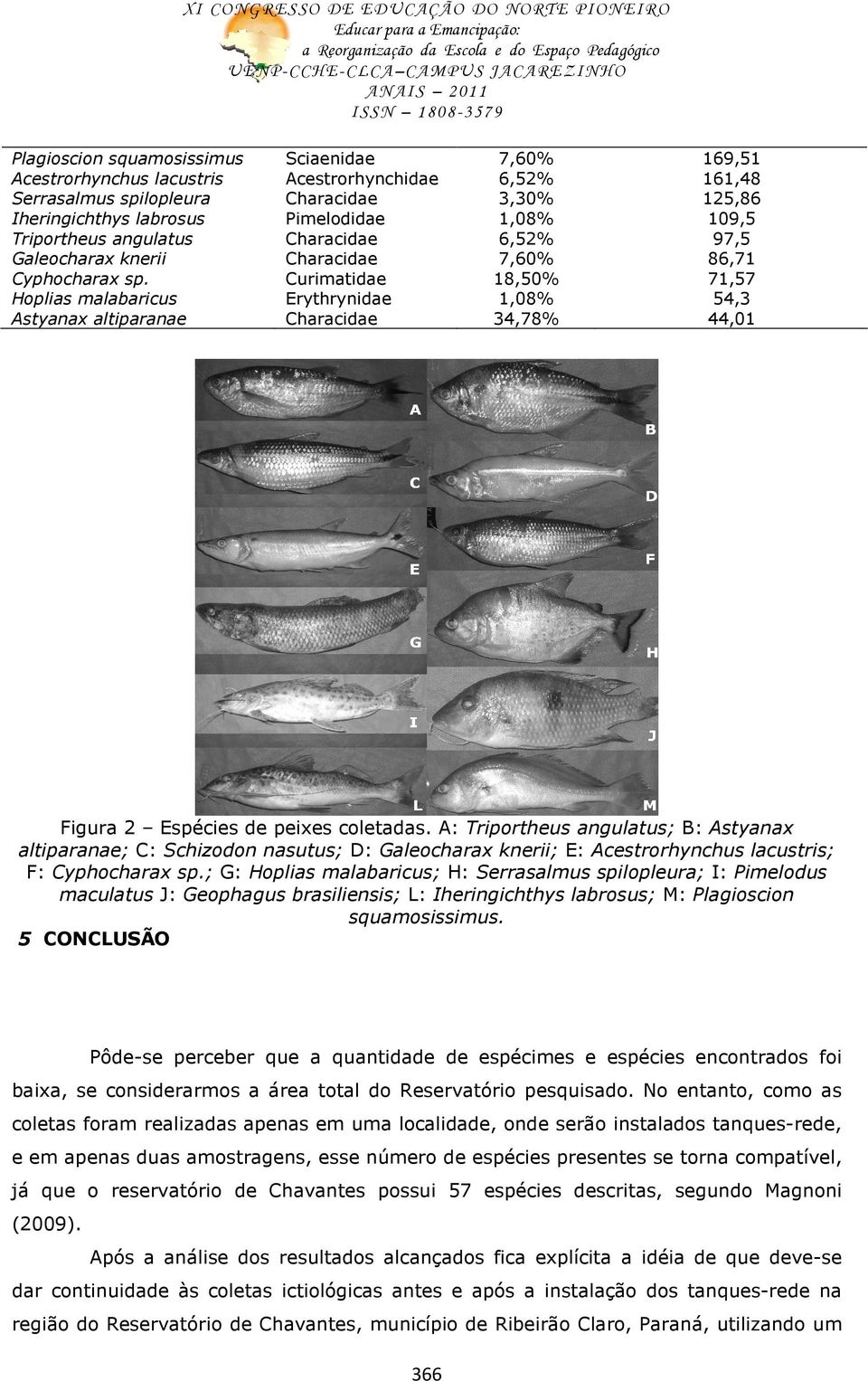 Hoplias malabaricus Astyanax altiparanae Sciaenidae Acestrorhynchidae Characidae Pimelodidae Characidae Characidae Curimatidae Erythrynidae Characidae 7,60% 6,52% 3,30% 1,08% 6,52% 7,60% 18,50% 1,08%