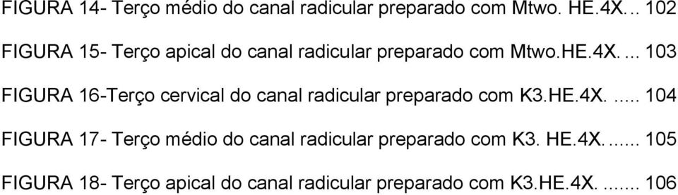... 103 FIGURA 16-Terço cervical do canal radicular preparado com K3.HE.4X.