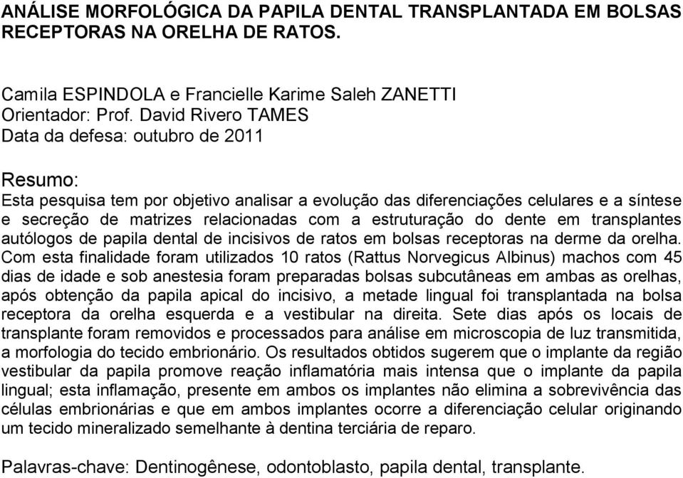 estruturação do dente em transplantes autólogos de papila dental de incisivos de ratos em bolsas receptoras na derme da orelha.