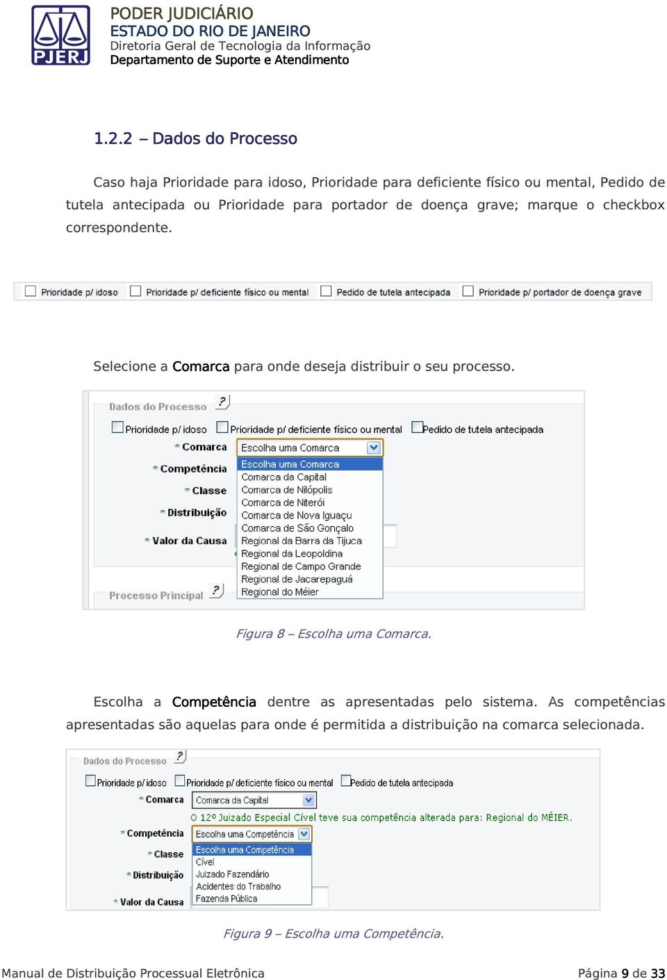 Figura 8 Escolha uma Comarca. Escolha a Competência dentre as apresentadas pelo sistema.