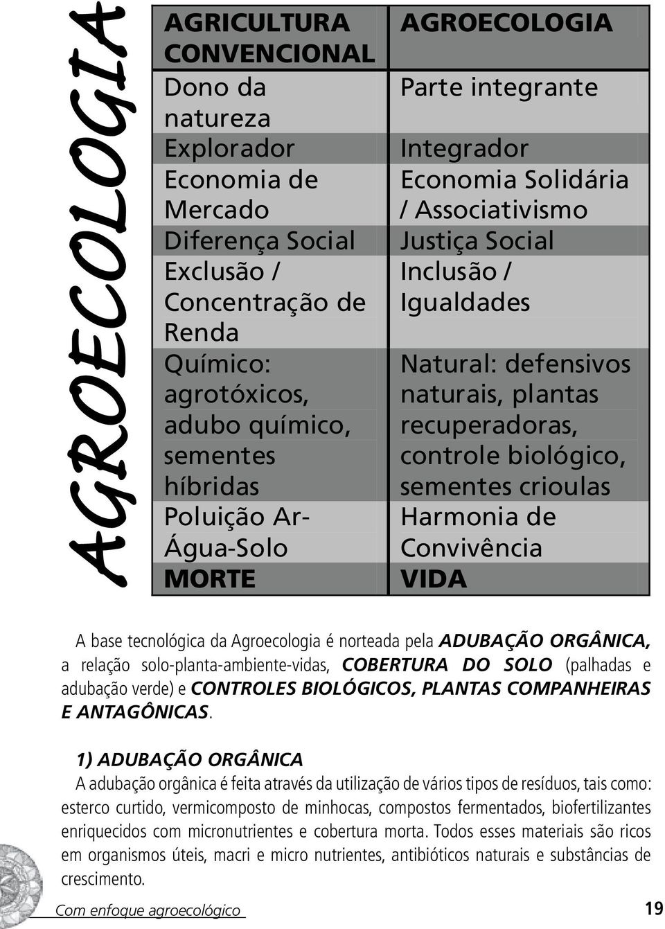 biológico, sementes crioulas Harmonia de Convivência VIDA A base tecnológica da Agroecologia é norteada pela ADUBAÇÃO ORGÂNICA, a relação solo-planta-ambiente-vidas, COBERTURA DO SOLO (palhadas e