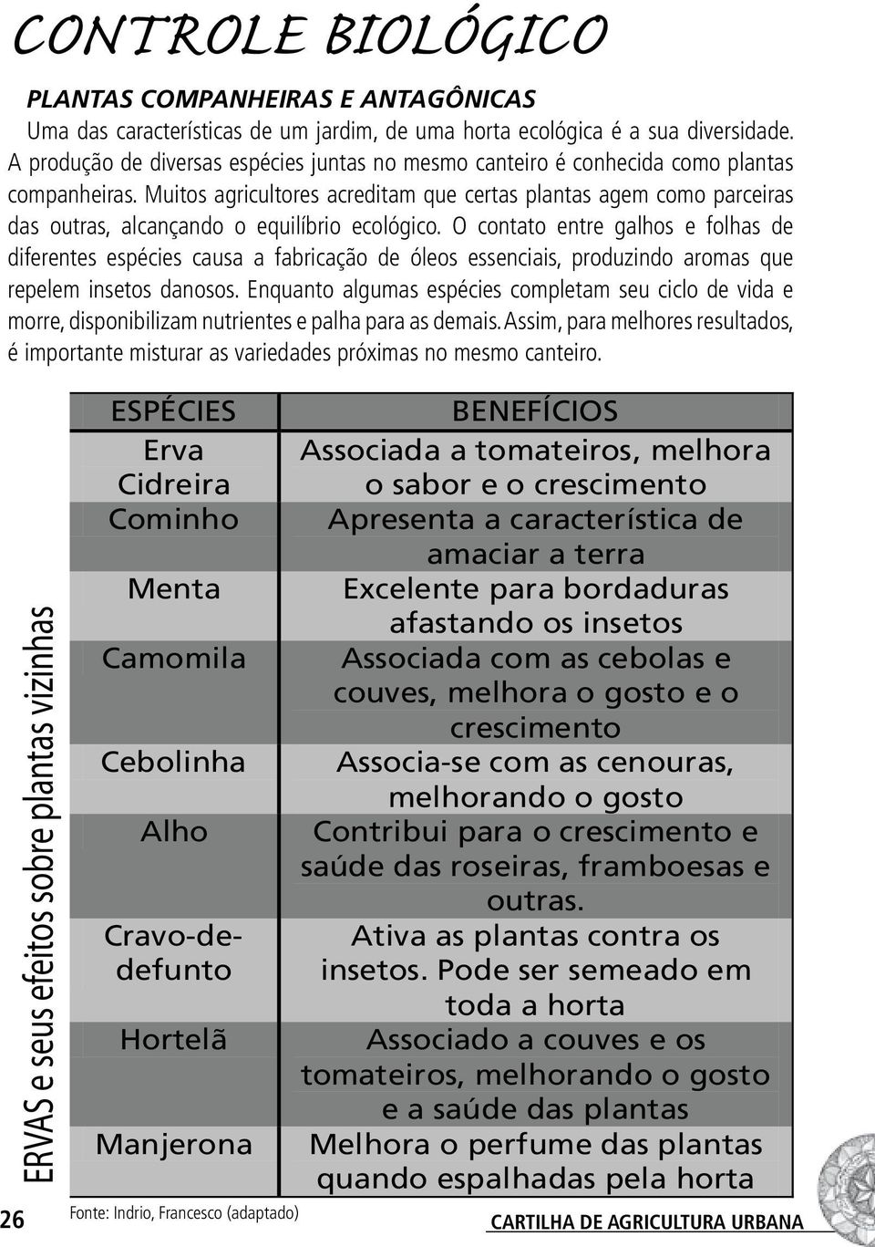 Muitos agricultores acreditam que certas plantas agem como parceiras das outras, alcançando o equilíbrio ecológico.