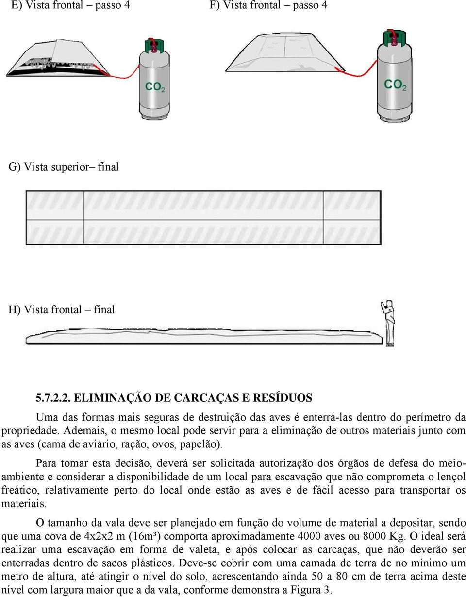 Ademais, o mesmo local pode servir para a eliminação de outros materiais junto com as aves (cama de aviário, ração, ovos, papelão).