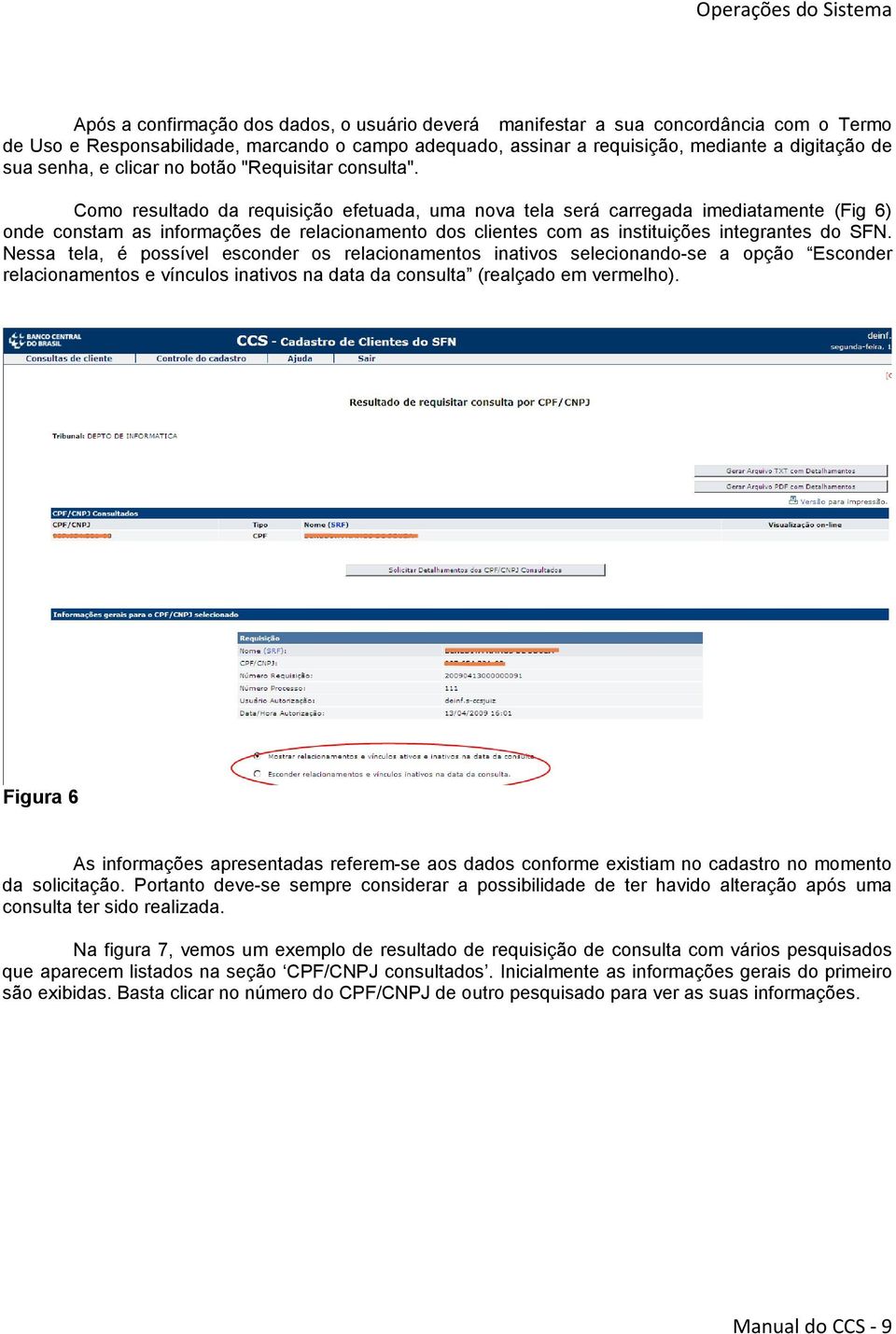 Como resultado da requisição efetuada, uma nova tela será carregada imediatamente (Fig 6) onde constam as informações de relacionamento dos clientes com as instituições integrantes do SFN.