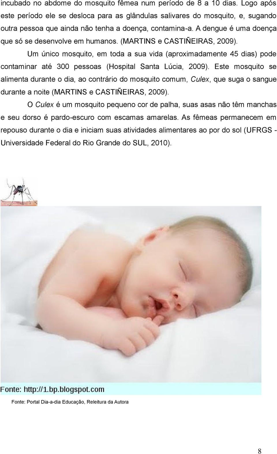 (MARTINS e CASTIÑEIRAS, 2009). Um único mosquito, em toda a sua vida (aproximadamente 45 dias) pode contaminar até 300 pessoas (Hospital Santa Lúcia, 2009).